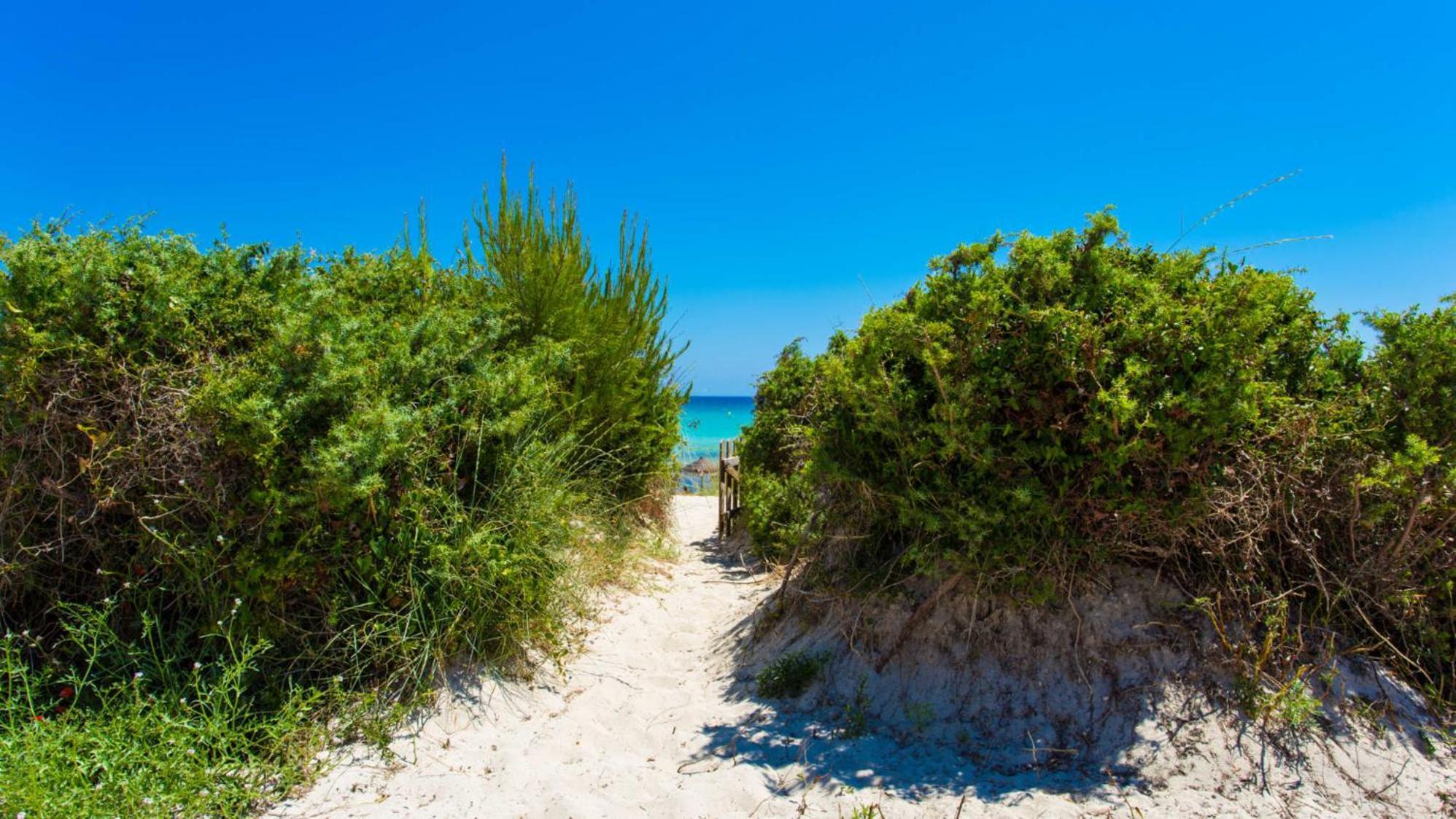 Sa Platja Etv * Playa de Muro (Mallorca)